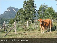 04 mas del roure